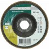 HiKOKI 4100116 Brúsny lamelový kotúč na nerez a kov 125x22, 23mm, Z40 HiKOKI 4100116 Brúsny lamelový kotúč na nerez a kov 125x22, 23mm, Z40