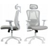 Ergonomicky sivá biela kancelárska stolička FXB002 s nastaviteľnými podrúčkami BHP Ergonomicky sivá biela kancelárska stolička FXB002 s nastaviteľnými podrúčkami BHP