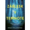 Záblesk v temnote - Willingham Stacy Záblesk v temnote - Willingham Stacy