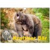 Krafttier Bär (Wandkalender 2026 DIN A4 quer), CALVENDO Monatskalender Krafttier Bär (Wandkalender 2026 DIN A4 quer), CALVENDO Monatskalender