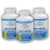 FitSport Nutrition 3x Kotvičník zemný 90% + Vitamín B6 + Zinok 150 kapsúl FitSport Nutrition 3x Kotvičník zemný 90% + Vitamín B6 + Zinok 150 kapsúl