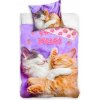 BedTex Obliečka Bavlnené obliečky Mačiatka Sweet Dreams 140x200 zvieratá biela BedTex Obliečka Bavlnené obliečky Mačiatka Sweet Dreams 140x200 zvieratá biela