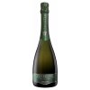 PROSECCO SALATIN VALDOBBIADENE DOCG BRUT 0.75L (čistá fľaša) PROSECCO SALATIN VALDOBBIADENE DOCG BRUT 0.75L (čistá fľaša)