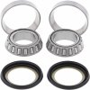 Ložiská + tesnenie riadenia sada SB22-1002 Ložiská + tesnenie riadenia sada SB22-1002