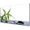 Sklenený obklad Do kuchyne List príroda kamene rastlina 100x50 cm Sklenený obklad Do kuchyne List príroda kamene rastlina 100x50 cm