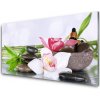 Sklenený obklad Do kuchyne Orchidea kamene bambus 100x50 cm Sklenený obklad Do kuchyne Orchidea kamene bambus 100x50 cm