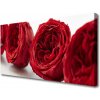 Obraz Canvas Ruže kvety rastlina 100x50 cm Obraz Canvas Ruže kvety rastlina 100x50 cm