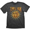 Temple Run Temple Treasure