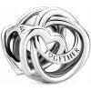 Charms Pandora Rodina je najdôležitejšia 791507C00 strieborný Charms Pandora Rodina je najdôležitejšia 791507C00 strieborný
