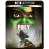 Prey 4K Ultra HD + Blu-Ray Prey 4K Ultra HD + Blu-Ray