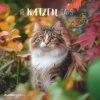 Katzen 2026 - Broschürenkalender 30x30 cm (30x60 geöffnet) - Kalender mit Platz für Notizen - Cats - Bildkalender - Wandplaner - Katzenkalender Katzen 2026 - Broschürenkalender 30x30 cm (30x60 geöffnet) - Kalender mit Platz für Notizen - Cats - Bildkalender - Wandplaner - Katzenkalender