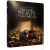 Fantastické zvery a ich výskyt - 3D/2D Steelbook Fantastické zvery a ich výskyt - 3D/2D Steelbook