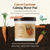 Skinfood Carrot Carotene Calming Water Pad 250 g