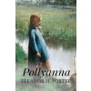 Pollyanna: Illustrated (Eleanor H Porter)(Brožovaná) Pollyanna: Illustrated (Eleanor H Porter)(Brožovaná)