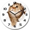 Sklenené nástenné hodiny okrúhle Mačka fi 30 cm Sklenené nástenné hodiny okrúhle Mačka fi 30 cm