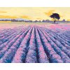 ZUTY Maľovanie podľa čísel - LEVANDUĽOVÉ POLE SO STROMOM Rámovanie: bez rámu a bez vypnutia plátna, Rozmer: 80x100 cm ZUTY Maľovanie podľa čísel - LEVANDUĽOVÉ POLE SO STROMOM Rámovanie: bez rámu a bez vypnutia plátna, Rozmer: 80x100 cm