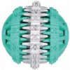 Dentafun Hračka pes Lopta s mätou Zeleno / Biely 7,5cm TR Dentafun Hračka pes Lopta s mätou Zeleno / Biely 7,5cm TR