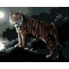 Zuty – Maľovanie podľa čísel – Tiger a spln (D. Rusty Rust), 40 × 50 cm, plátno 8596530188124 Zuty – Maľovanie podľa čísel – Tiger a spln (D. Rusty Rust), 40 × 50 cm, plátno 8596530188124