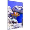 Vertikálny foto obraz akrylový na stenu Ryba Nemo 50x100 cm Vertikálny foto obraz akrylový na stenu Ryba Nemo 50x100 cm