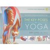 Key Poses of Yoga Key Poses of Yoga