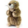 Rappa Plyšový svišť 23 cm ECO-FRIENDLY Rappa Plyšový svišť 23 cm ECO-FRIENDLY