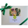 Darčeková kazeta - Bylinné kapsule MIX Darčeková kazeta - Bylinné kapsule MIX