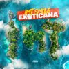 Vinyl IMT Smile - Exoticana Vinyl IMT Smile - Exoticana