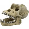 Nobby Lebka gorily 18,7 cm