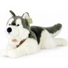 RAPPA Plyšový pes husky s obojkem ležící 60 cm, Eco-Friendly RAPPA Plyšový pes husky s obojkem ležící 60 cm, Eco-Friendly