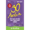 E-kniha 30 hodin - Dalibor Pulkert E-kniha 30 hodin - Dalibor Pulkert