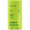 Prírodný dezodorant Attitude Super leaves - hruška a amber 75g BEZPLAST