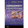 Junqueirovy základy histologie - Mescher Anthony L. Junqueirovy základy histologie - Mescher Anthony L.