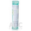 STAPHYSAGRIA GRA HOM CH200 1x4 g STAPHYSAGRIA GRA HOM CH200 1x4 g