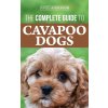 Complete Guide to Cavapoo Dogs Complete Guide to Cavapoo Dogs