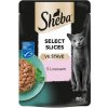 Sheba Adult losos v šťave 85 g
