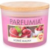 Sójová vonná eko sviečka HORÚCE MALINY 2 knôty PARFUMIA 400 ml Sójová vonná eko sviečka HORÚCE MALINY 2 knôty PARFUMIA 400 ml