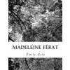 Madeleine Férat (Émile Zola)(Brožovaná) Madeleine Férat (Émile Zola)(Brožovaná)