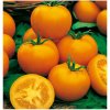 Paradajka Zlatá kráľovná - Solanum lycopersicum - semená paradajky - 10 ks Paradajka Zlatá kráľovná - Solanum lycopersicum - semená paradajky - 10 ks
