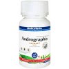Medica herbs andrographis (lymská borelióza) 120 kapsúl Medica herbs andrographis (lymská borelióza) 120 kapsúl