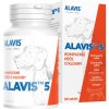 Alavis 5 kĺbová výživa 90 tbl Alavis 5 kĺbová výživa 90 tbl