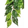 Hagen Exo Terra Ficus rostlina malá 45 cm Hagen Exo Terra Ficus rostlina malá 45 cm