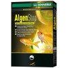 DENNERLE AlgenStop 1 kg DENNERLE AlgenStop 1 kg