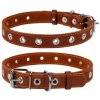 WAU DOG Obojok Collar kožený, 60cm/25mm, hnedá WAU DOG Obojok Collar kožený, 60cm/25mm, hnedá