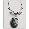 Maľovanie podľa čísel - Jelenia hlava na stene - 80x100 cm, bez dřevěného rámu - výroba CZ Maľovanie podľa čísel - Jelenia hlava na stene - 80x100 cm, bez dřevěného rámu - výroba CZ