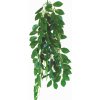 HapPet Ficus 50 cm