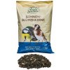 Slnečnicové semiačka 1 kg – prírodné krmivo pre vtáky, bohaté na tuky a energiu Slnečnicové semiačka 1 kg – prírodné krmivo pre vtáky, bohaté na tuky a energiu