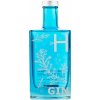 H Gin Frozen Heaven 40% 0,7 l H Gin Frozen Heaven 40% 0,7 l