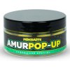 Mikbaits Plávajúce Boilie Amur Range 100 ml - 14 mm Mikbaits Plávajúce Boilie Amur Range 100 ml - 14 mm