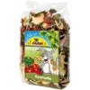 JR Farm Ratatouille 100g JR Farm Ratatouille 100g