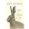 Zajíc a já - Chloe Dalton Zajíc a já - Chloe Dalton